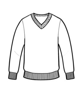 Mens V-Neck sweater